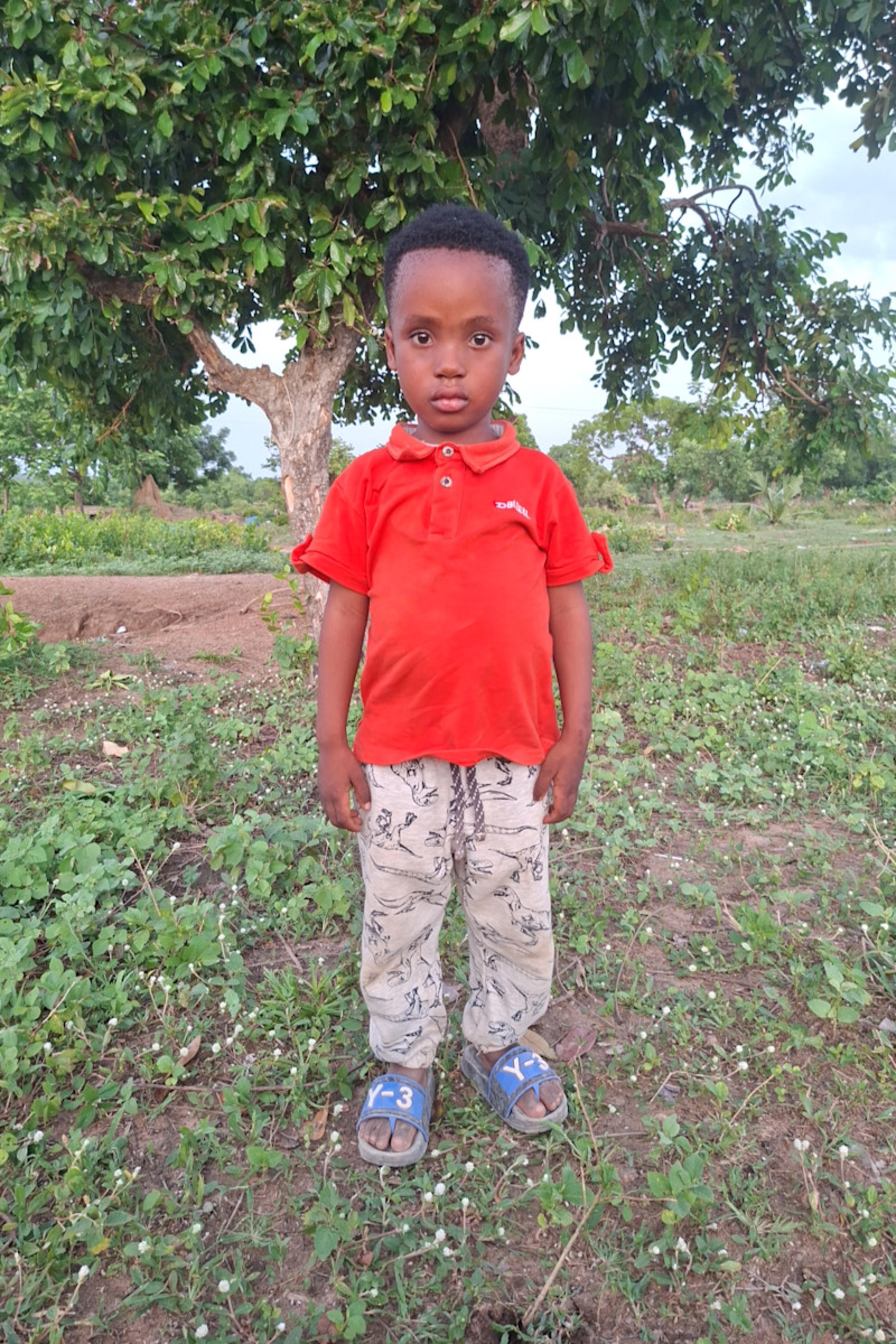 An unsponsored boy named Harrison from Ghana who lives in an AIDS-affected area and has waited 146 days for a sponsor.