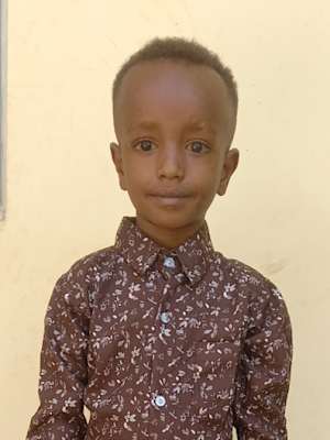 An unsponsored boy named Brihanu from Ethiopia who lives in an AIDS-affected area, is vulnerable to exploitation and has waited 584 days for a sponsor