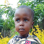 Halakhe