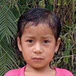 Mari