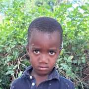 Daudi
