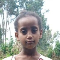 Apadrina Fikir (Etiopia)