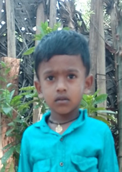 Liviksan
