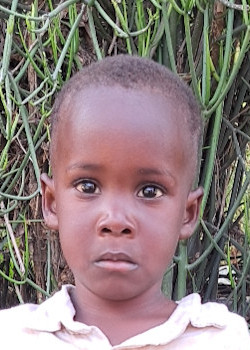 Abdul
