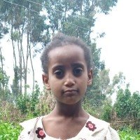 Apadrina Fikir (Etiopia)