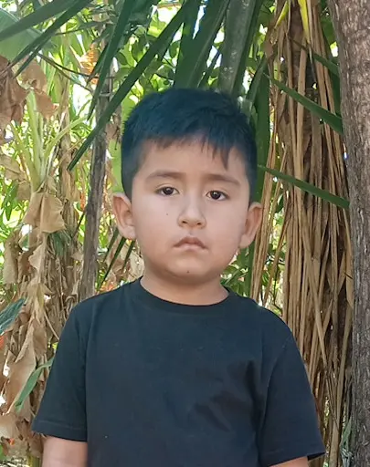 Luis David