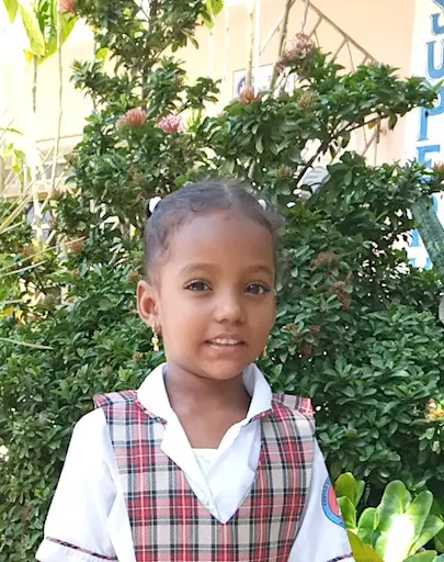 Eli sofia
